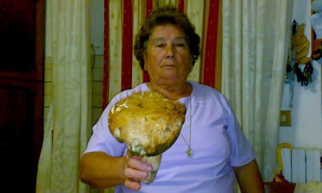 Un fungo porcino da 500 grammi