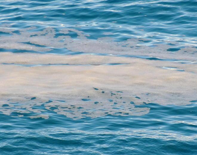 Macchia oleosa nel mare di Baratti 