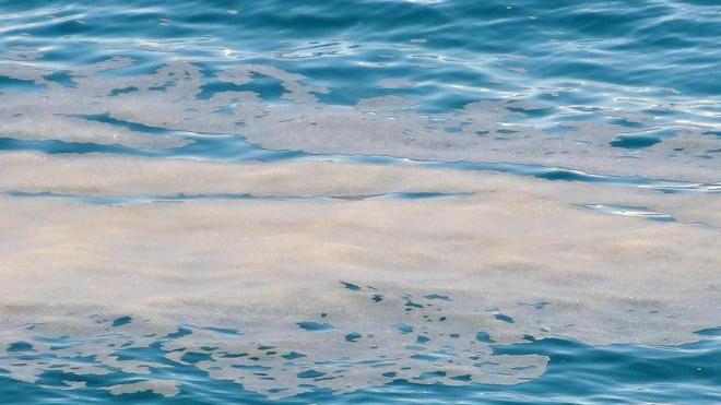 Macchia oleosa nel mare di Baratti