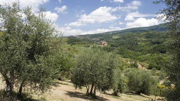 Seggiano entra nella rete europea dell’olio