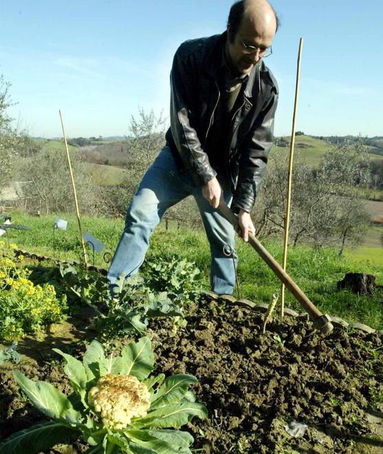 «Caro il mio orticello» Tutta colpa di un contatore
