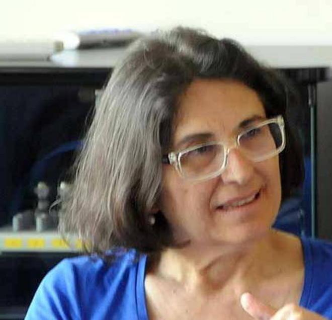 La dg De Lauretis: nessun ritardo per la fine lavori 