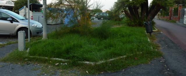 «Erba alta, tassa di soggiorno per raderla» 