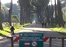 Parco, la carica dei 108 per un posto di direttore 