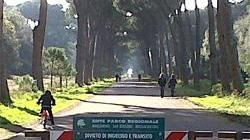Parco, la carica dei 108 per un posto di direttore