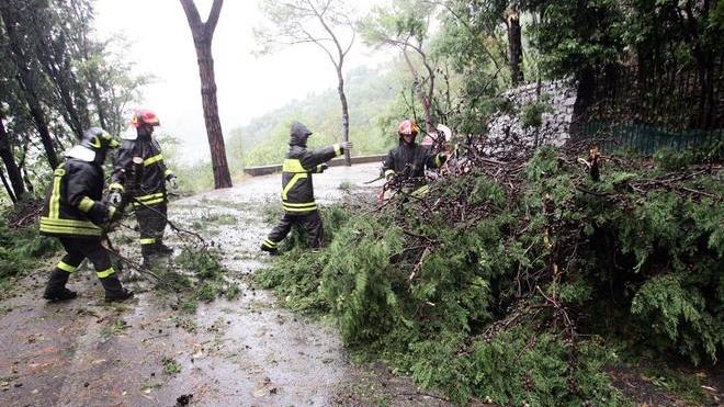 Fortunale in montagna, scoperchiato il tetto di una scuola
