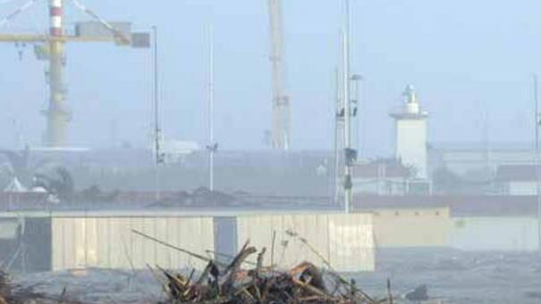 Sulla spiaggia carrarese decine di tonnellate di legname