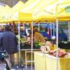 Nei mercati di Campagna Amica tempo di cavolo nero e pasta della bontà 