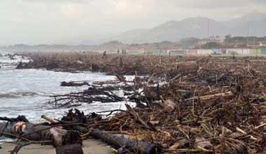 Spiaggia invasa da rami e tronchi, chiesta la calamità naturale 