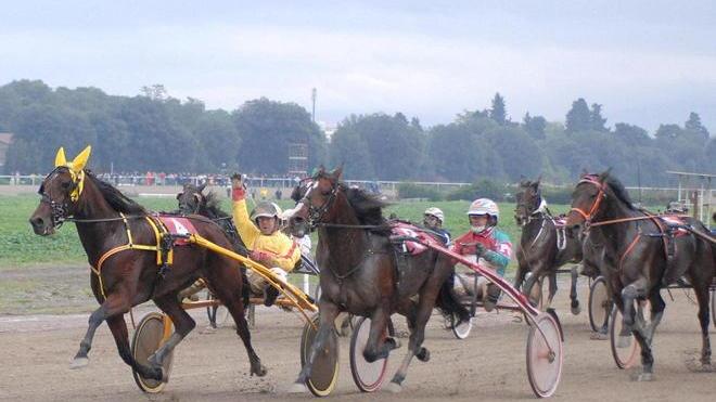 Orleans Om, beniamina del Sesana s’impone al Gran premio di Firenze
