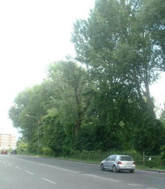 Restano sotto sequestro i terreni del parco di S. Anna 