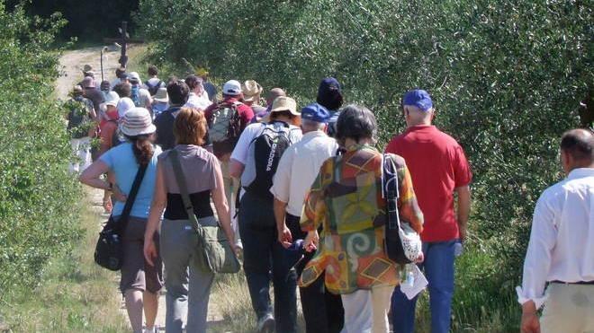 Via Francigena, opportunità per lo sviluppo del territorio