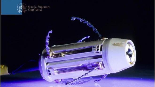 Insetti e sommergibili per curare il corpo dall'interno