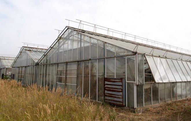 L’appello delle aziende floricole «Chiarezza sugli annessi agricoli»
