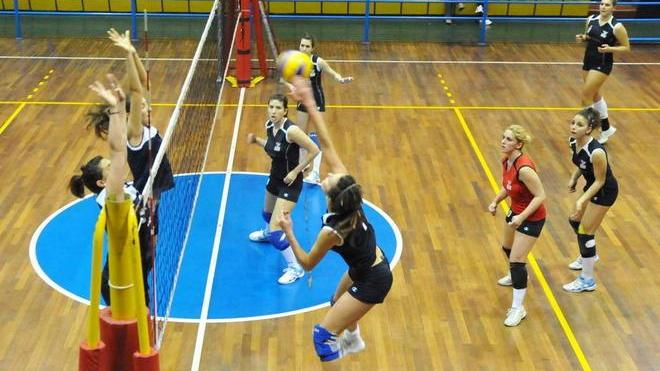 Il Volley Piombino si prepara al debutto