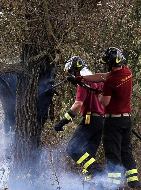 Incendio all’alba in campagna: si sospetta l’origine dolosa