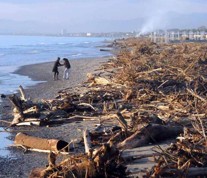 Alberi e lavarone: il Comune chiede la calamità naturale