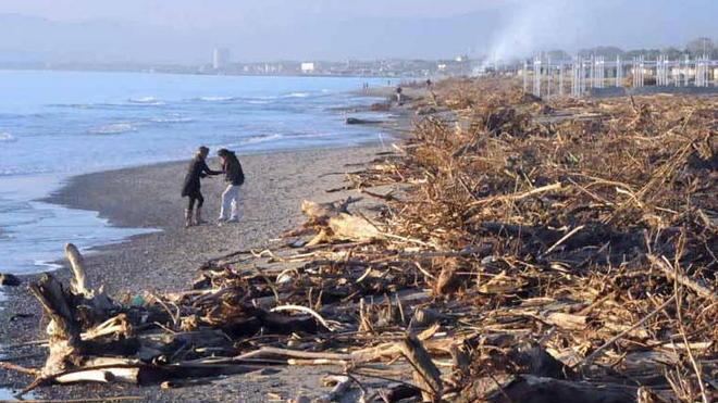 Alberi e lavarone: il Comune chiede la calamità naturale