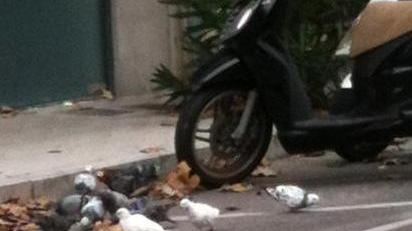 Incassi da 50 euro al giorno: così muore piazza Cavour