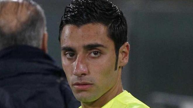 Saia è uno esperto