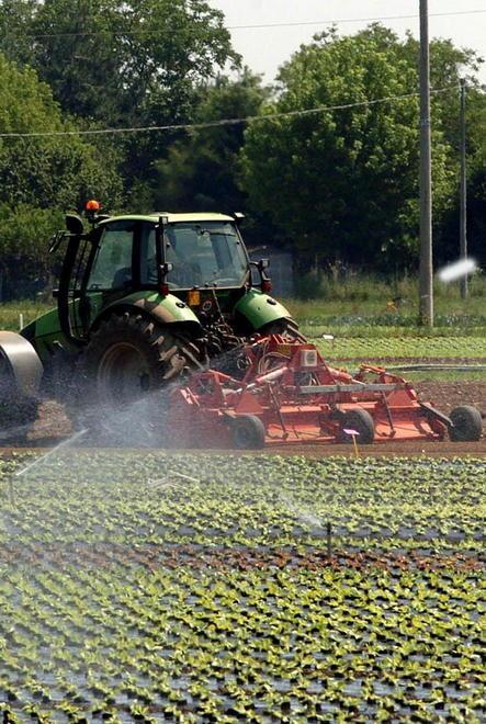 Dopo alluvione e siccità l’agricoltura rialza la testa