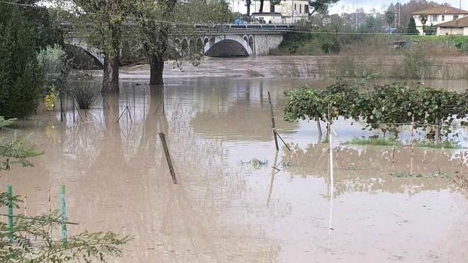 Pomeriggio di paura per il Serchio in piena