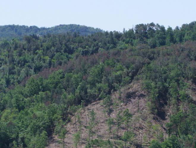 Alla Mostra del Tartufo sbarca il caso cave 