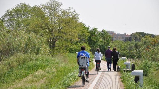 Maxi furto di cavi di rame, la città resta al buio
