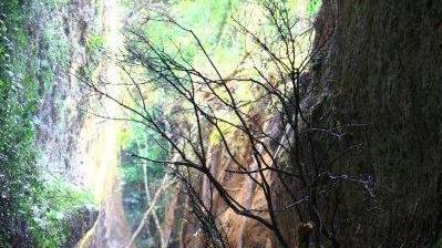 Un caos al Cavone di Sovana