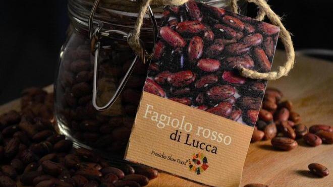 Con Slow Food per la scoperta dei “presìdi” di tutto il territorio