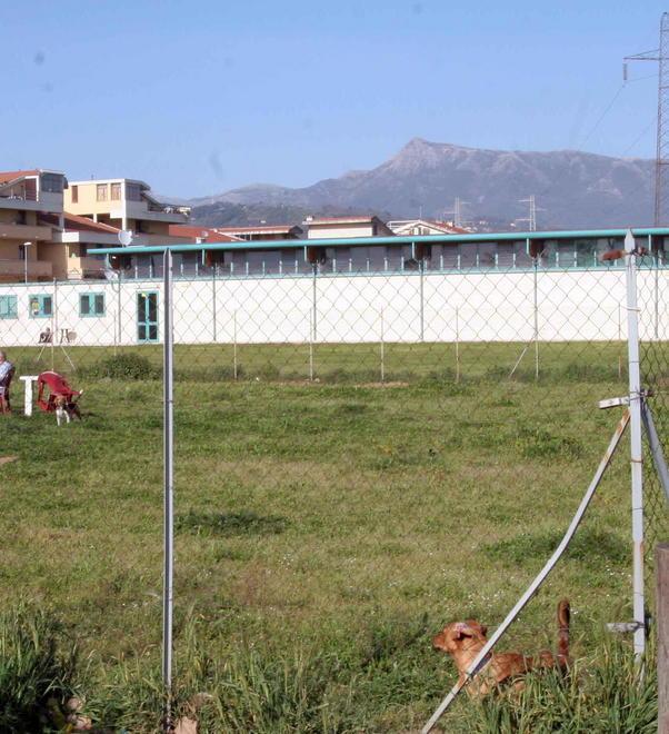 Spara senza motivo col fucile ad aria compressa Il Tirreno