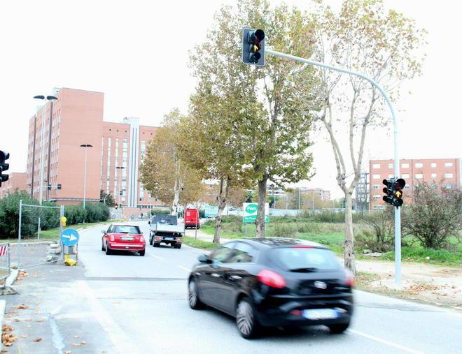 Fabbricotti, da lunedì la rivoluzione della viabilità 