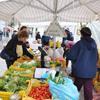 In piazza Guerrazzi il mercato dei produttori agricoli 