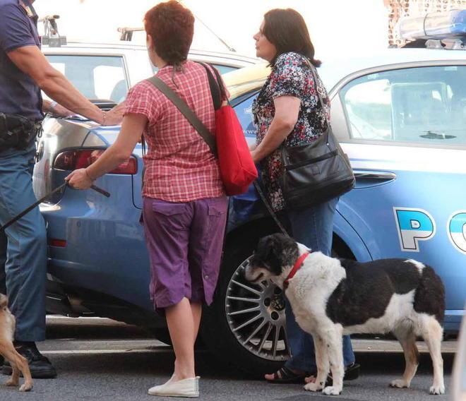 Morì per difendere il cane, «Non c’è un colpevole» 