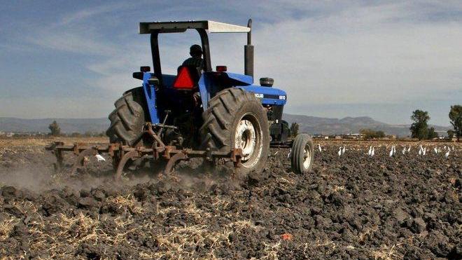 Sparita un’azienda agricola su quattro
