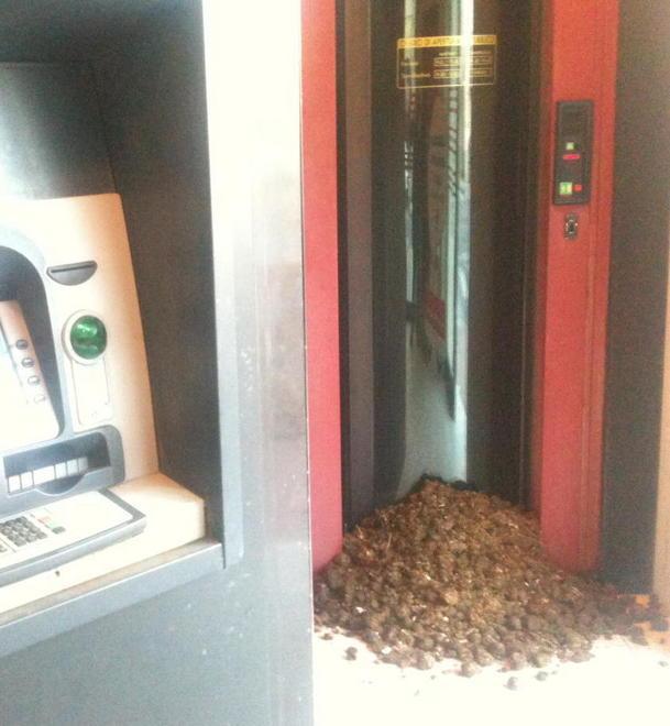 Il colpo in banca frutta appena 50 euro 