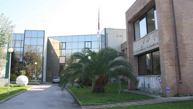Assolto professore-sindacalista Era accusato di assenteismo 