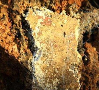 Dal fango il frontone di una tomba 