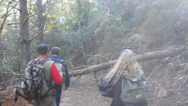 Vandali in azione sulla rete sentieristica