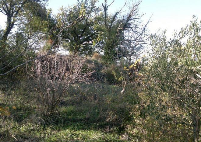 Archeologia Una nuova scoperta sotto Montegiovi