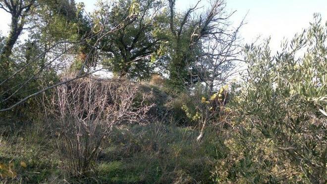 Archeologia Una nuova scoperta sotto Montegiovi