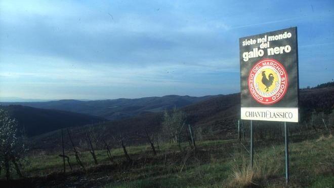 Premio internazionale a una borsista della Scuola Sant’Anna