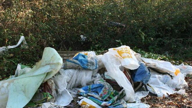 Una discarica abusiva alle Cerbaie