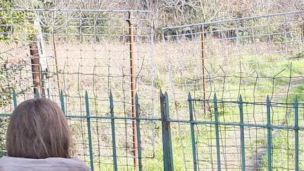 Decine di furti ogni giorno «Basta, siamo esasperati»