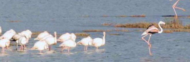 Visite nel weekend all’oasi Wwf 