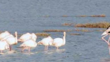 Visite nel weekend all’oasi Wwf