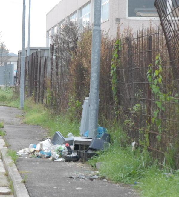 Zona industriale assalita dai rifiuti 
