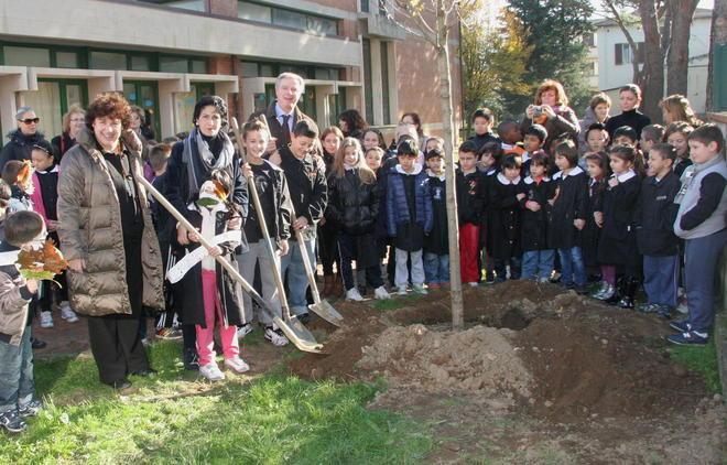 Piantumate 7 piante di acero nel giardino della scuola