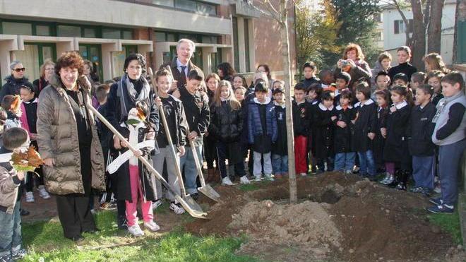 Piantumate 7 piante di acero nel giardino della scuola