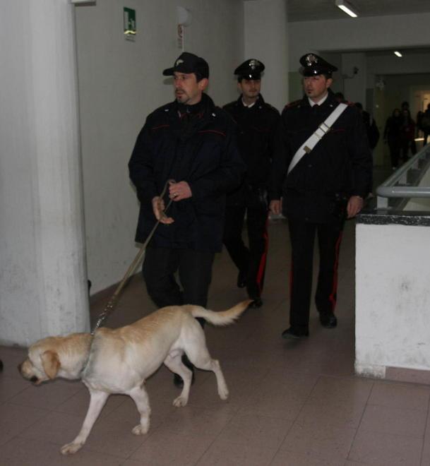 Controlli antidroga nelle scuole con l’aiuto dei cani 